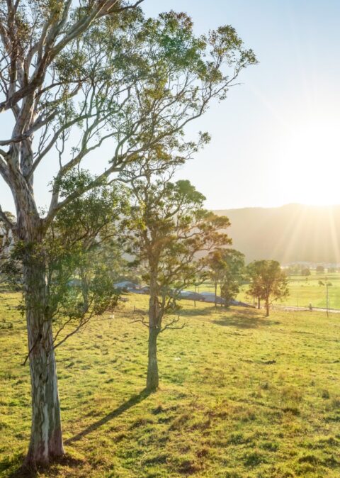 Parkside, Kembla Grange | Land for Sale | Wollongong, NSW